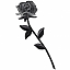19263540_f_a_600x600